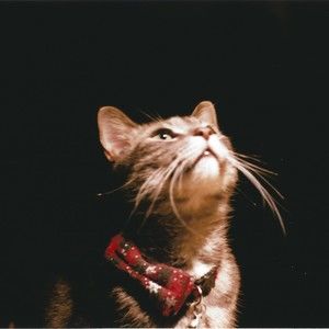 Meet your Posher, Jose